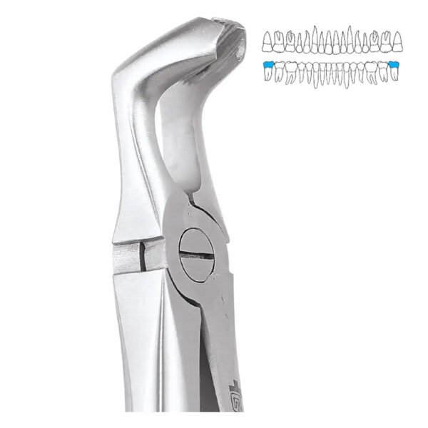 GDC Extraction Forcep Lower Third Molars - 79 Atraumatic (AFX79)