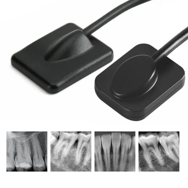 Endoking Dental RVG Sensor